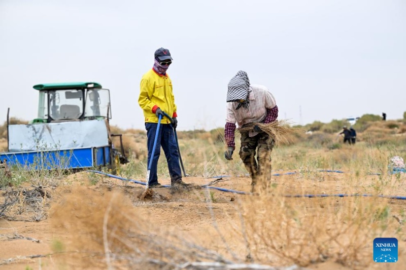 Mongólia Interior: gestão ecológica do Deserto de Ulan Buh obtém novos avanços