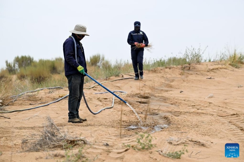 Mongólia Interior: gestão ecológica do Deserto de Ulan Buh obtém novos avanços