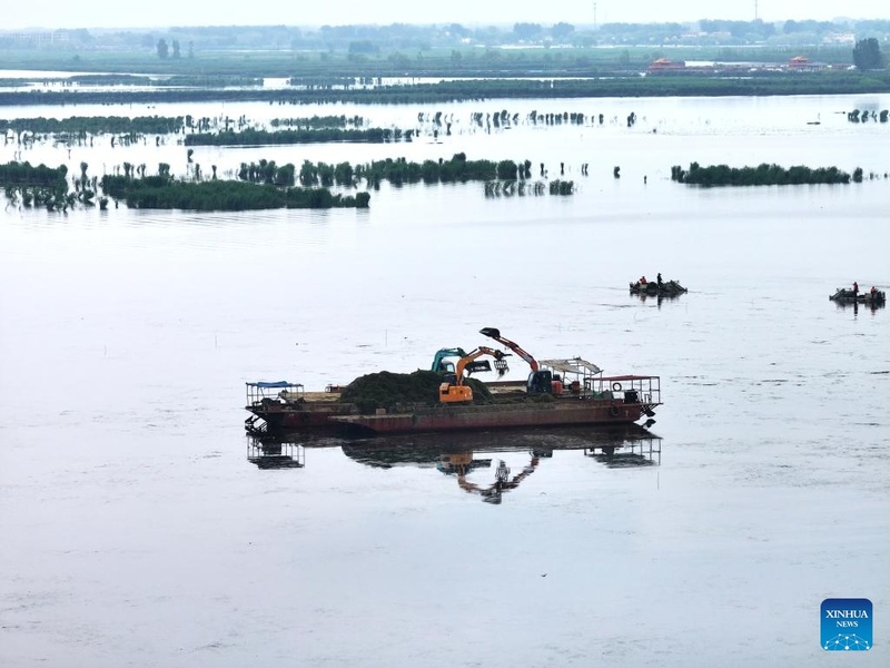Galeria: paisagem encantadora do início de verão no Lago Baiyangdian