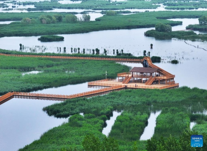 Galeria: paisagem encantadora do início de verão no Lago Baiyangdian