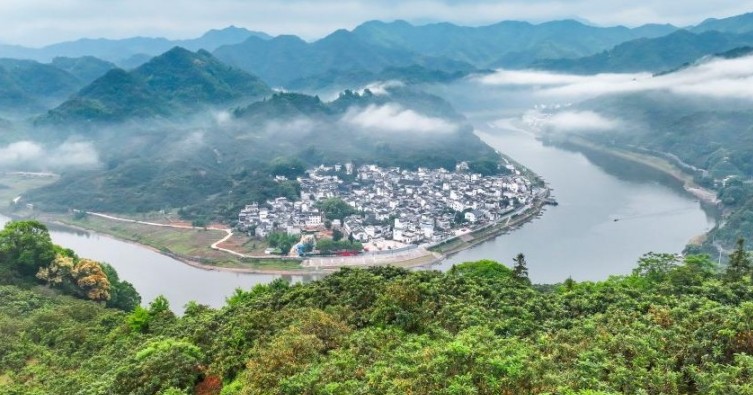 Agricultores colhem nêsperas no condado de Shexian, em Anhui, ChinaO cultivo de nêsperas nas vilas de Zhangtan, Miantan e Yuetan, no distrito de Shexian, remonta a mais de 800 anos e permanece como uma atividade econômica emblemática.