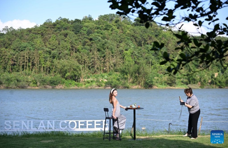 Indústria cafeeira prospera em Guangdong, sul da China