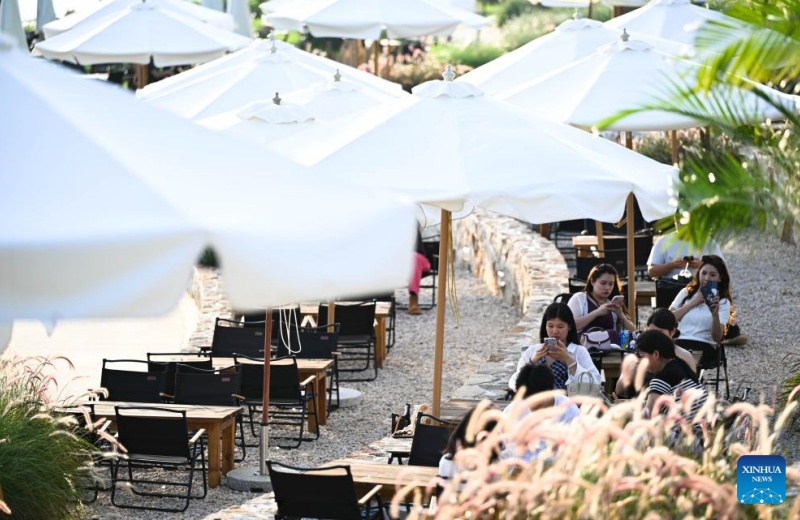 Indústria cafeeira prospera em Guangdong, sul da China