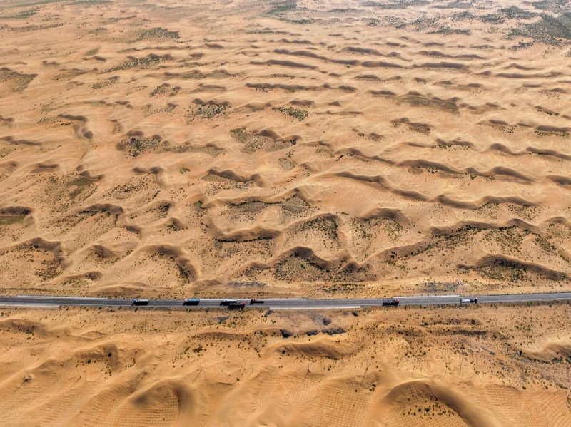 Combate à desertificação: a Grande Muralha Verde cresce no norte da China