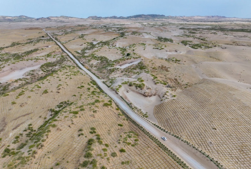 Combate à desertificação: a Grande Muralha Verde cresce no norte da China