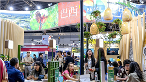 Brasil reforça promoção turística no mercado chinês durante a ITB China 2026 A ITB China 2026, uma das principais feiras internacionais do setor turístico na China, foi realizada de 26 a 28 de maio, em Shanghai.