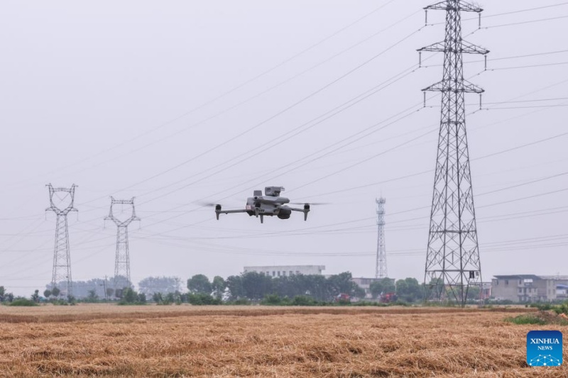 Dispositivos inteligentes implantados durante colheita de trigo em Anhui, na China