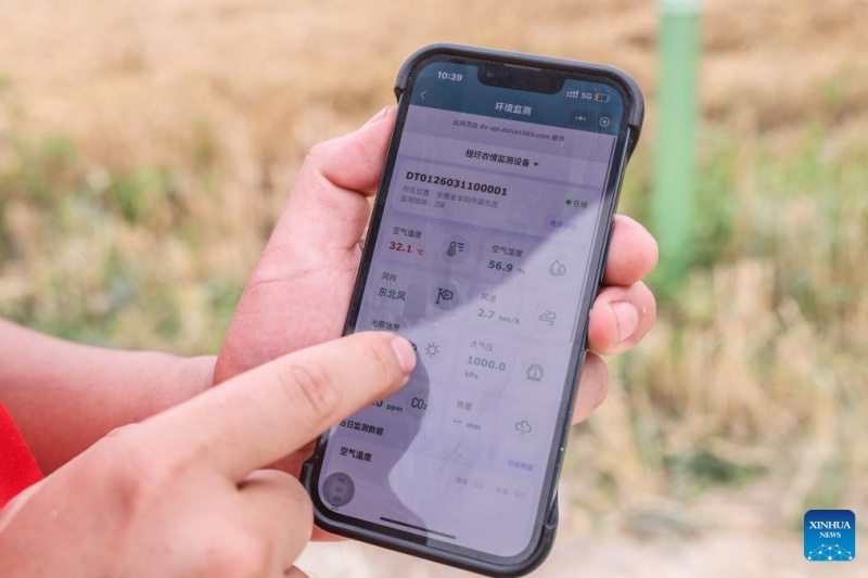 Dispositivos inteligentes implantados durante colheita de trigo em Anhui, na China