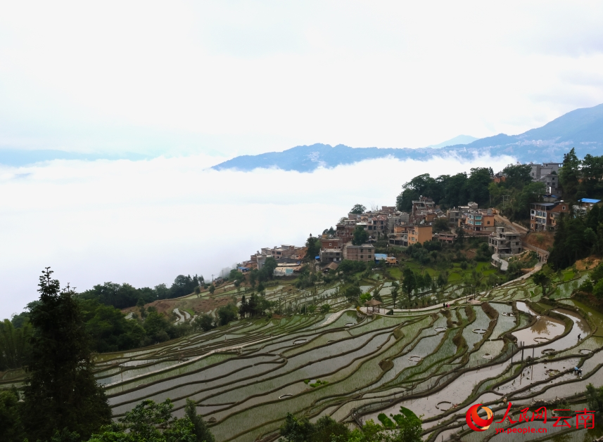 Galeria: beleza das aldeias hani e dos terraços agrícolas em Yunnan após queda da chuva