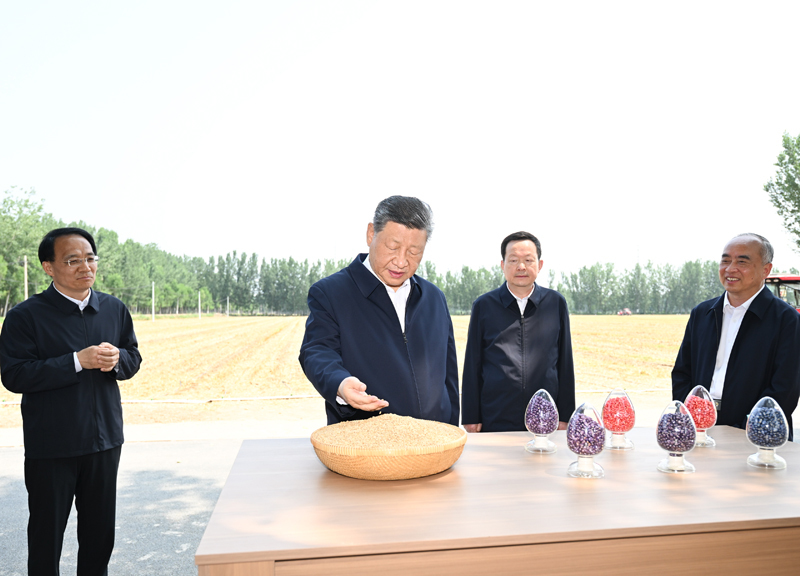 Xi Jinping pede medidas sólidas para modernizar agricultura e áreas rurais
