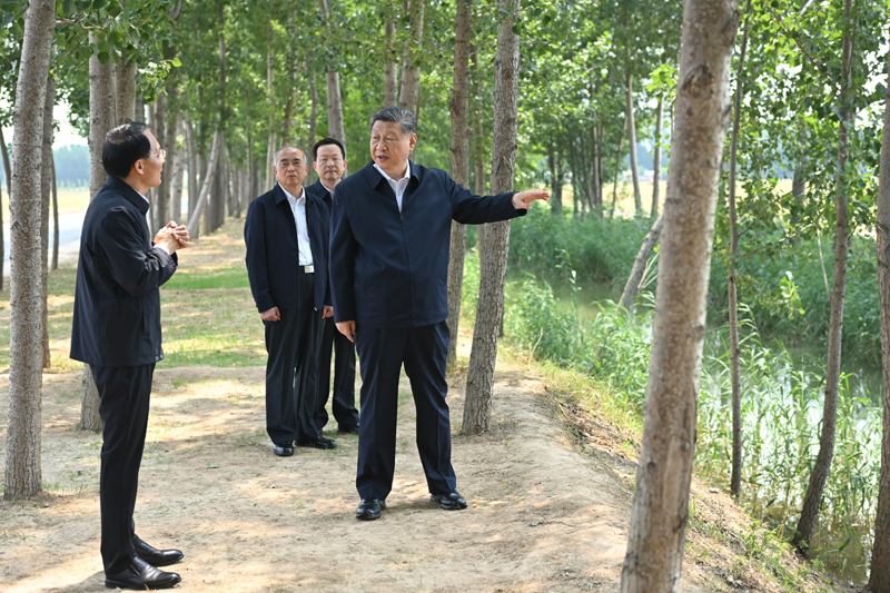 Xi Jinping pede medidas sólidas para modernizar agricultura e áreas rurais