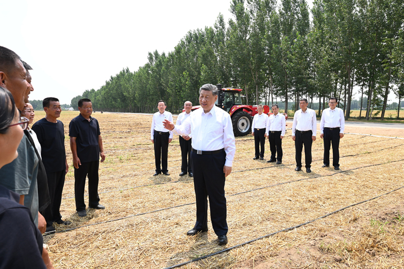 Xi Jinping pede medidas sólidas para modernizar agricultura e áreas rurais