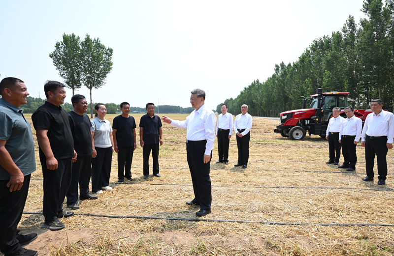 Xi Jinping pede medidas sólidas para modernizar agricultura e áreas rurais