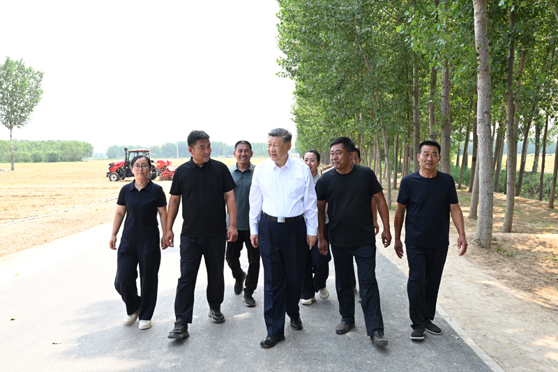 Xi Jinping pede medidas sólidas para modernizar agricultura e áreas rurais