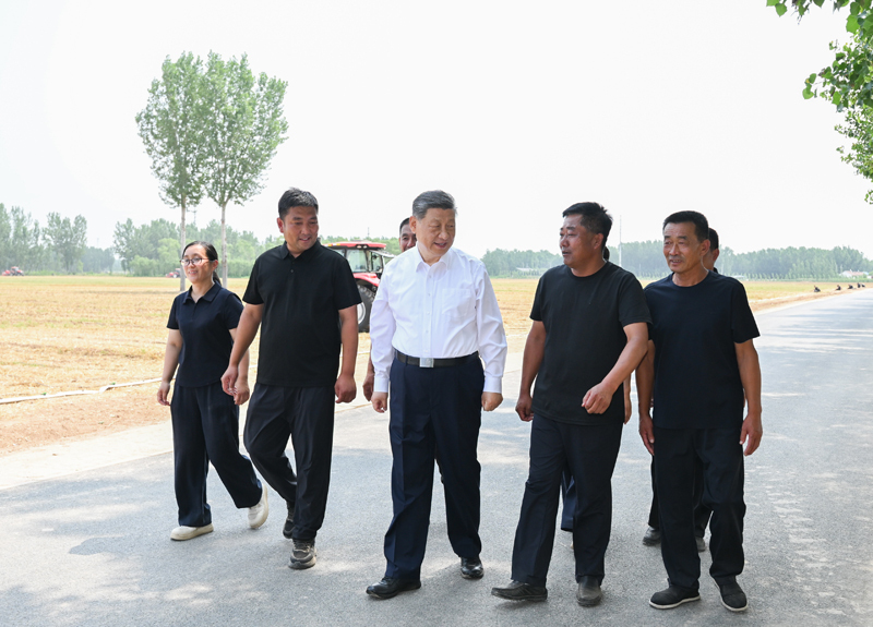 Xi Jinping pede medidas sólidas para modernizar agricultura e áreas rurais