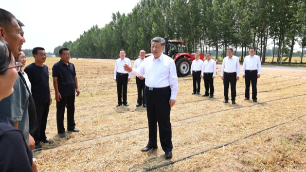 Xi Jinping pede medidas sólidas para modernizar agricultura e áreas rurais