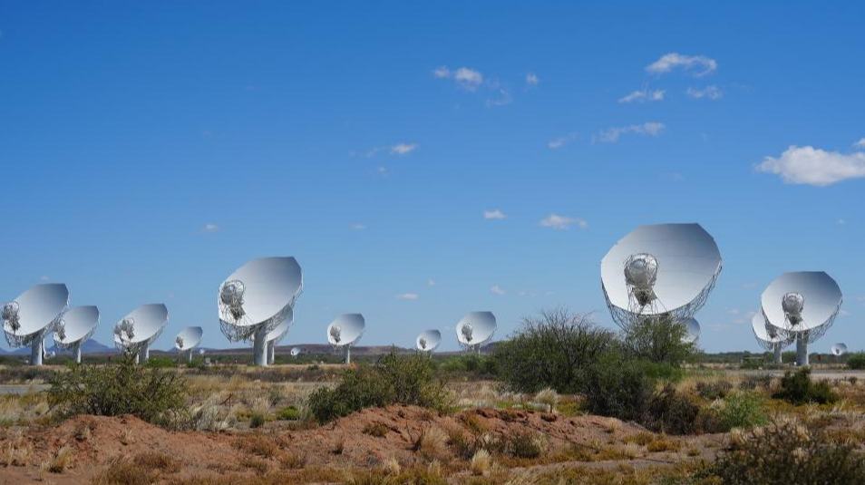 Intercâmbio sino-africano: Explorando o potencial da cooperação científica e tecnológicaJovens cientistas chineses e sul-africanos compartilharam experiências de pesquisa e resultados científicos, aprofundando a cooperação em pesquisas conjuntas e promovendo o compartilhamento de conhecimento.
