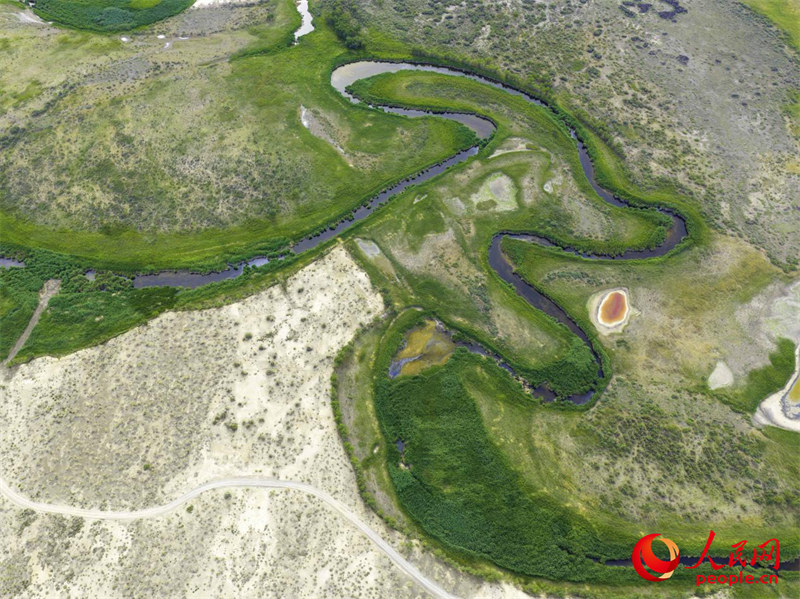 Reserva natural em Xinjiang floresce e recupera biodiversidade no coração do deserto