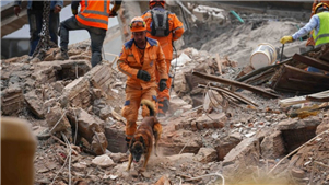 Forte terremoto na Colômbia deixa 289 mortos e mais de 180 mil pessoas afetadasO presidente da Colômbia, Gustavo Petro, informou no dia 16 que o forte terremoto ocorrido no país no dia 10 deixou 289 mortos, 143 desaparecidos e 4.187 feridos, afetando mais de 180 mil pessoas.