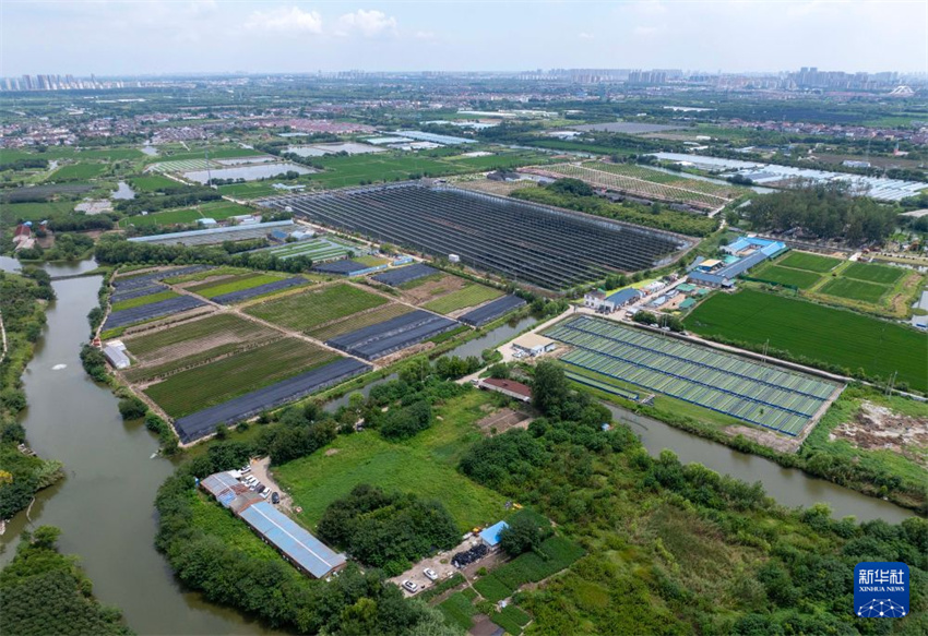 Capacidade instalada de energia fotovoltaica de Jiangsu ultrapassa 100 milhões de kW
