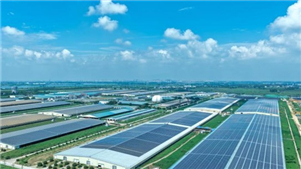 China explora novas formas de combinar energia solar com a agriculturaPainéis solares estão surgindo em cada vez mais fazendas por toda a China, à medida que o país busca novas maneiras de aliar energia renovável à produção agrícola.