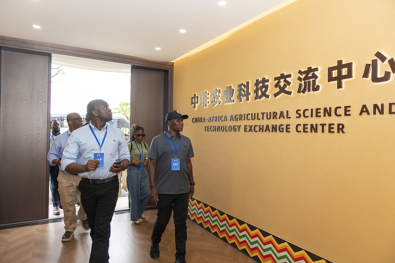 Jinhua reforça cooperação agrícola com África através de inovação tecnológica