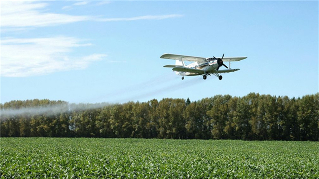 Aeronaves e drones ajudam a garantir a colheita de grãos de outono em Heilongjiang, na China