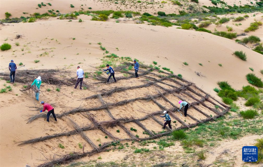 Ordos: “Trabalho em troca de auxílio” impulsiona o combate à desertificação