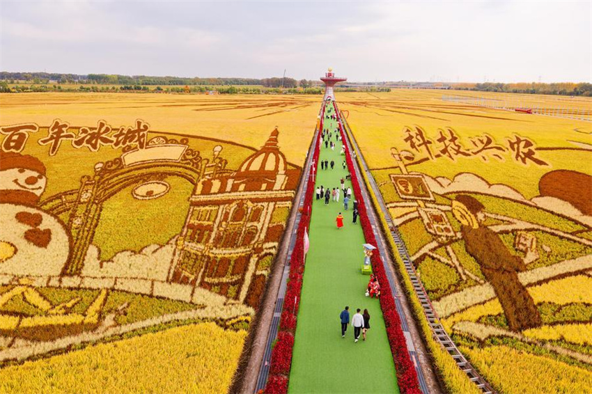 Pessoas em toda a China celebram o Festival da Colheita dos Agricultores Chineses