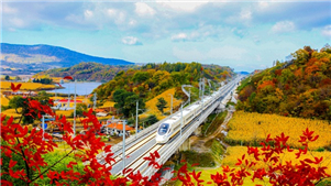 Rede ferroviária de alta velocidade impulsiona revitalização do Nordeste da ChinaNa última década, a extensão de suas linhas de alta velocidade aumentou de 1.416 km para 3.726 km, marcando a transição de linhas isoladas para uma rede integrada. 