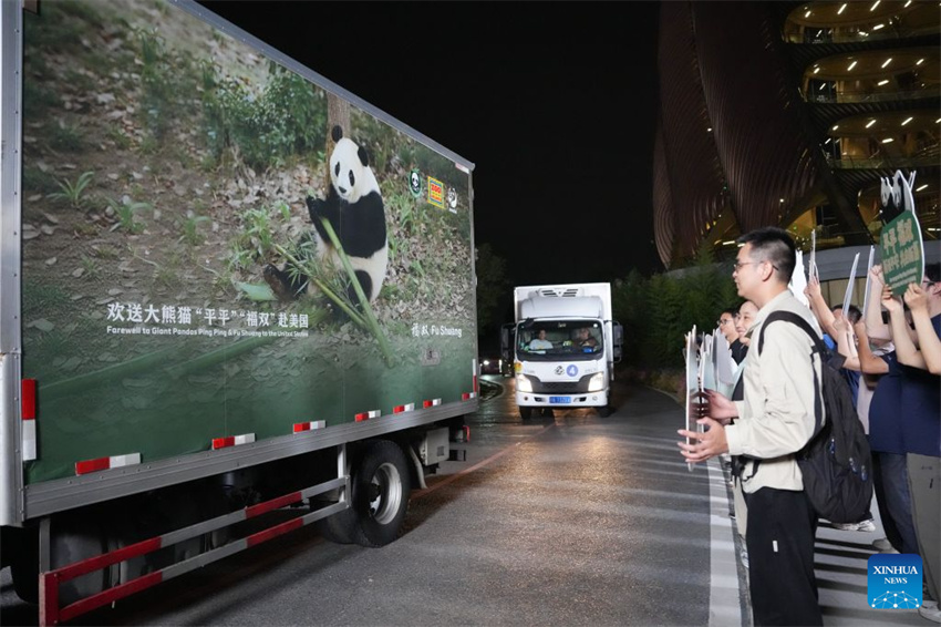 Dois pandas gigantes partem de Chengdu para estadia de 10 anos no Zoológico de Atlanta