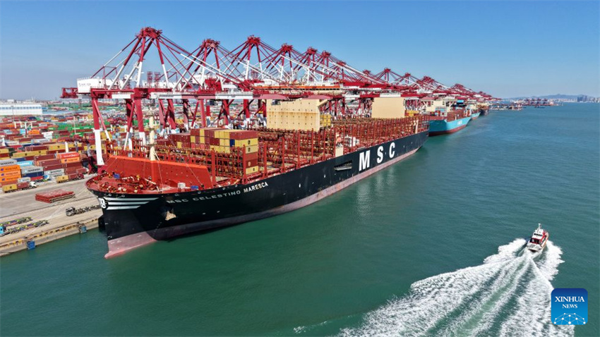 Porto de Qingdao continua expandindo seus serviços globais de transporte marítimo