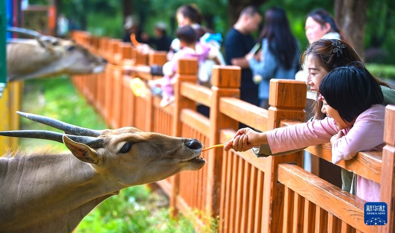 China registra 826 milhões de viagens turísticas domésticas durante feriado do Dia Nacional de 2026