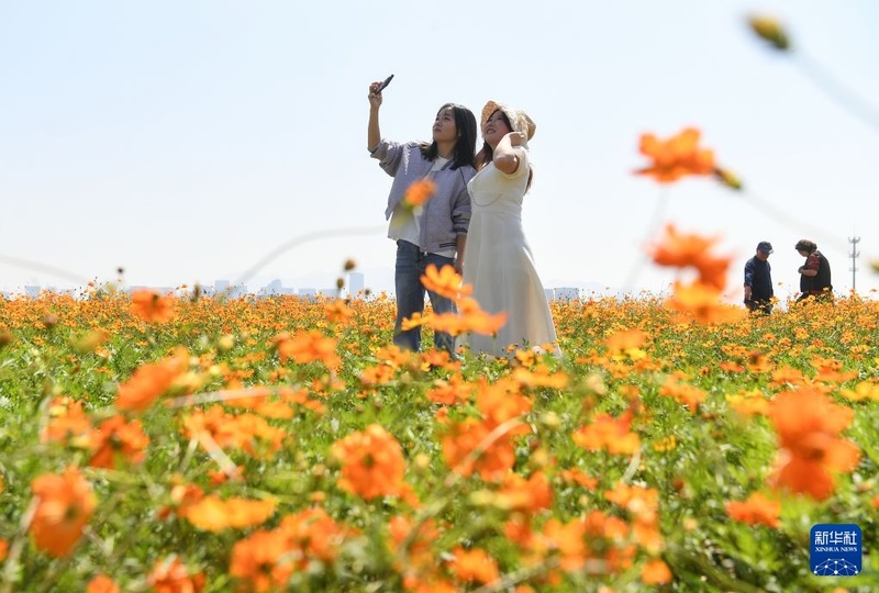 China registra 826 milhões de viagens turísticas domésticas durante feriado do Dia Nacional de 2026