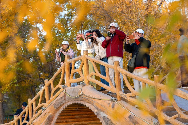 Galeria: floresta de choupos-do-eufrates pintam de dourado deserto de Jinta