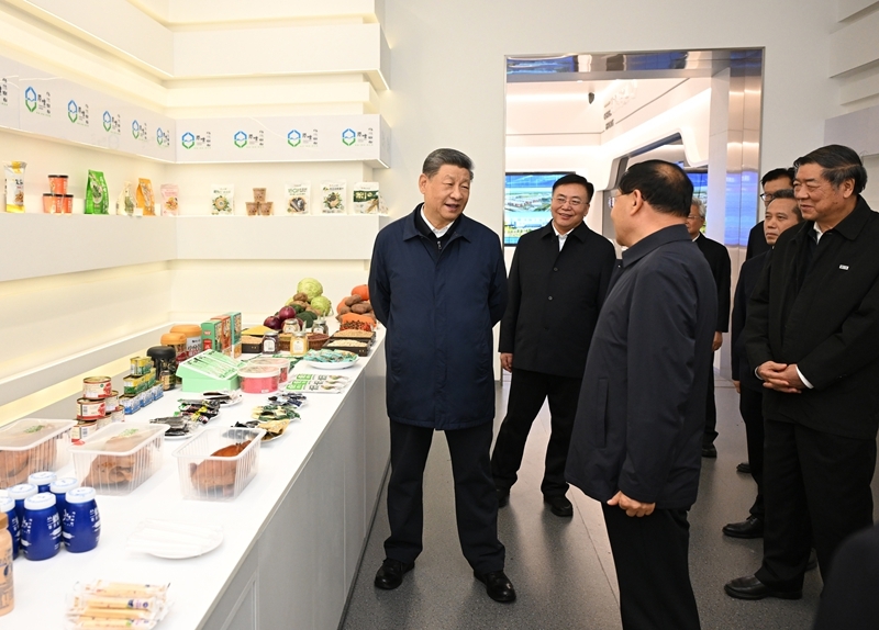 Xi Jinping enfatiza prioridade à conservação ecológica e busca do desenvolvimento verde