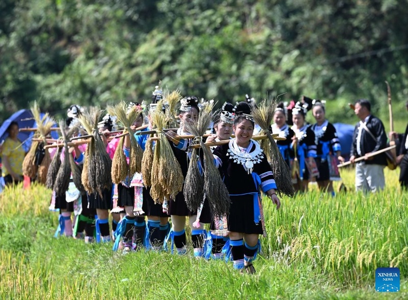 China celebra colheita do arroz glutinoso com festival tradicional em Guangxi